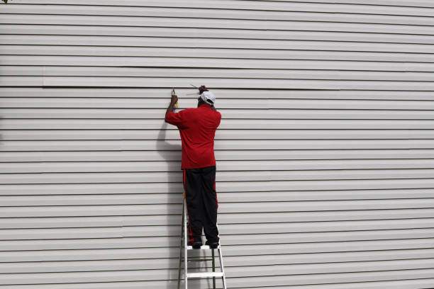 Best Siding Painting and Refinishing  in USA