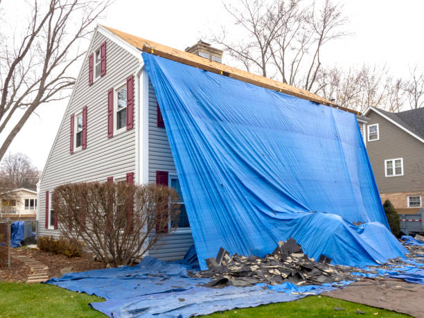 Best Storm Damage Siding Repair  in USA